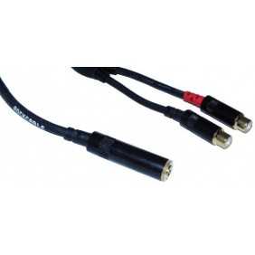 Rock Cable Y Adapter Kabel...