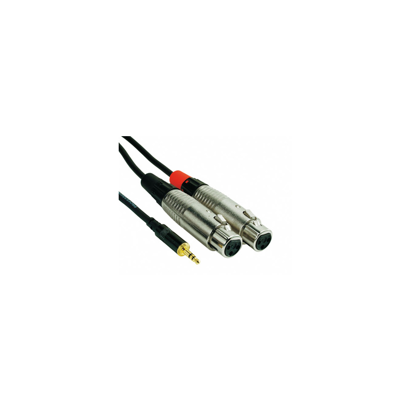 Rock Cable MiniJack- 2x XLRf RCIN*MPFX