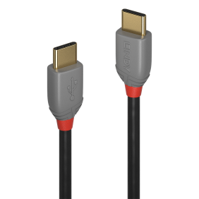 Lindy USB 2.0 C male auf C male Kabel