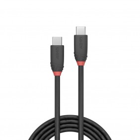 Lindy USB 3.1 C male auf C male Kabel 1 Meter